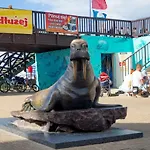 Kamienica